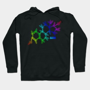 17β-estradiol / Estrogen (R) Pride edition Hoodie